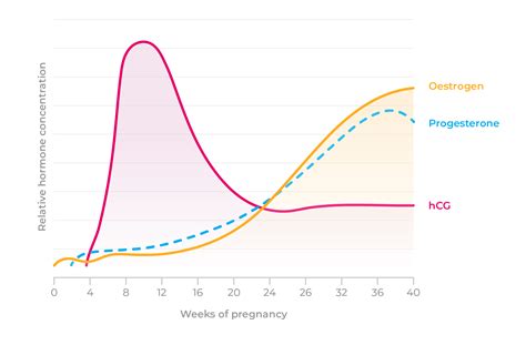 Your postpartum hormones: week one. . Estrogen levels in early pregnancy chart